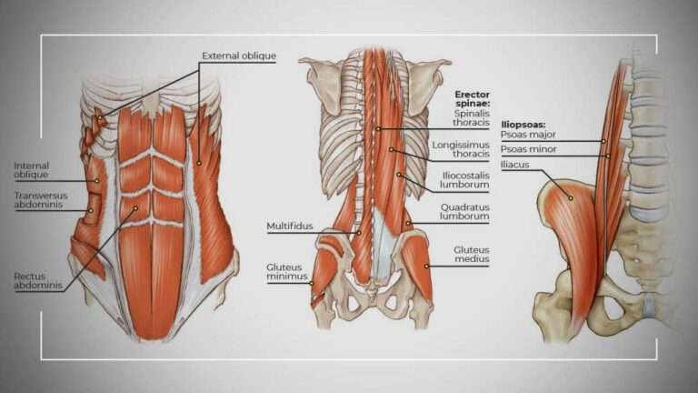 5 esercizi di Core training per il ciclismo