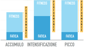 periodizzazione